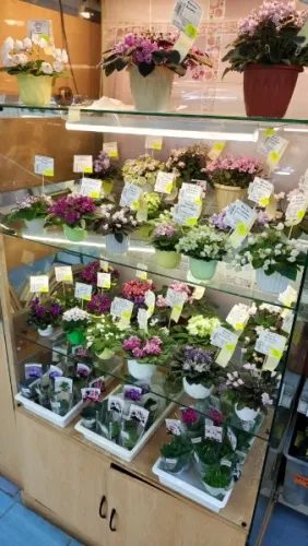 IMG_20260731_104426.webp