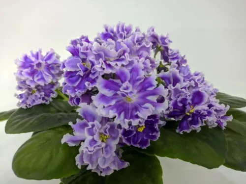 Байкальский Шторм (К.Морев).webp