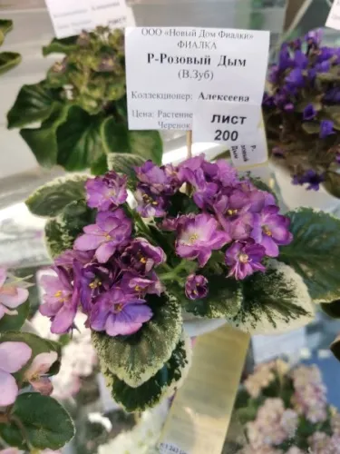 IMG_20260822_180227.webp