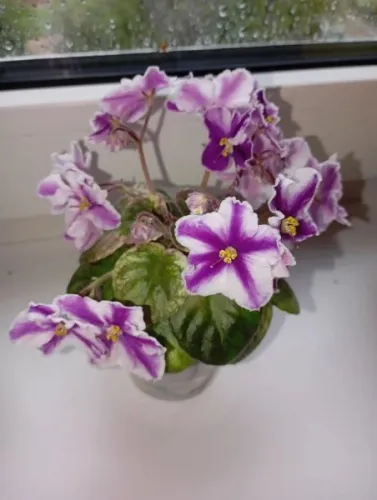IMG_20260825_152643_013.webp