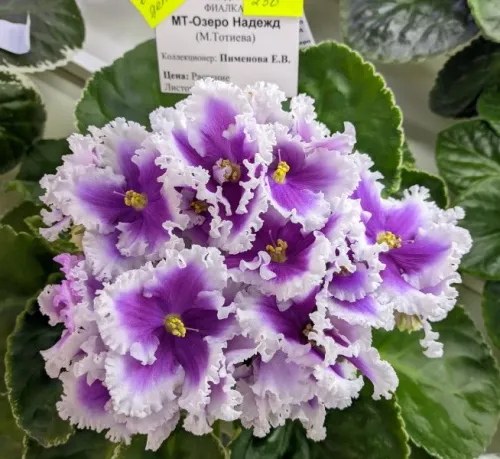 CR12su_20260825_092254352.webp