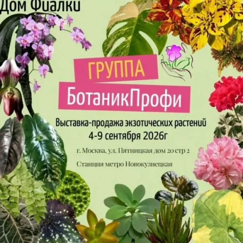 1PdcJKJwRMc4SIcIPXP5Tx0i0mRoKt2U2T_bBmDuZmtXf4lztcm4yHqLaNixgkD0oaXBjpe77DpqBjywNDvrzUlC.webp