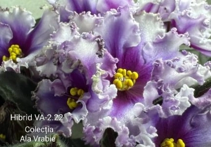 Screenshot_20260901-230907_Gallery.webp