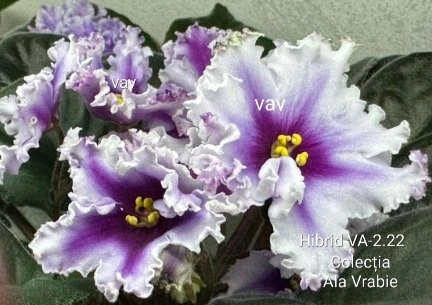 Screenshot_20260901-230128_Gallery.webp