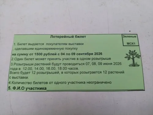 QRl38cNvutphP1tpWLLBhYMrJH_gbLnwhjzZaHc3ItUrkh_x6gZi4kqwHzVrFXOfnMsxwHZXPmqEKp49bPH-Amy_.webp