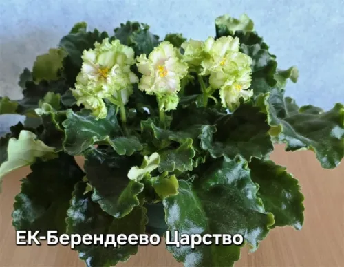 ек-Берендеево-Царство.webp