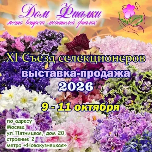 Xm0gKK_NkLhnBOT5HHq_Ad-NO6d4DJVpUgc0s1-cBpPZ3HHV3hjAyhJ1uX2aayUOeNuBqUS8AIOGtXEM7_0QpciT.webp