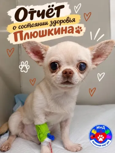 3TwwJN19KV4..12шъх..webp