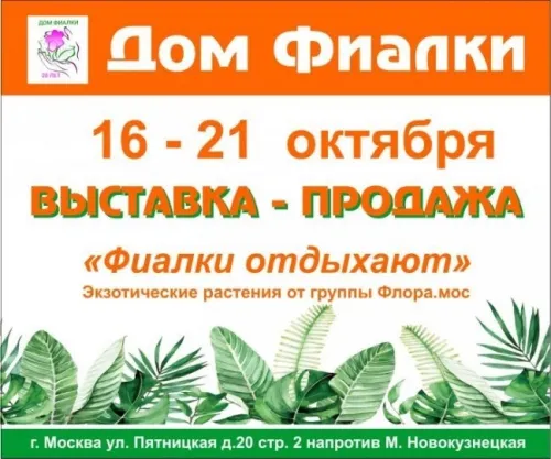 NGZOpYPw4Ms3ECcHuTq1qmK9M42oXrutqPkcoZwuuGYC_li_OCyzWwIkulIPDoU5vXjE0KLXcHs8_IC-MkDtERV4a5sPnA.webp