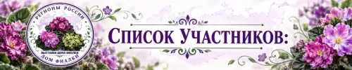 file_00000000f6bc81f4a1bfe8b080b2f899.webp