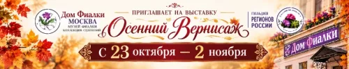 file_000000001e2081f5a6adc9c25b8e3546.webp