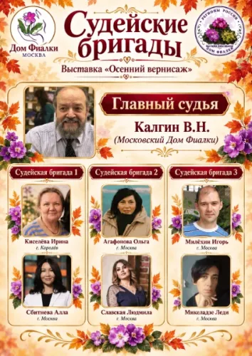 303506 (1).webp