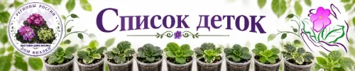1792013296389.webp