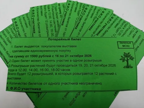 EUzoUbQqmhWf4BCd-vA3qzhzIhdyZ95fJSBF40MfY-2uWjTwkb-NYfOrczcZh6Z6XoUUi7-qJEnKVFDJTF2AeelkYt4UDg.webp