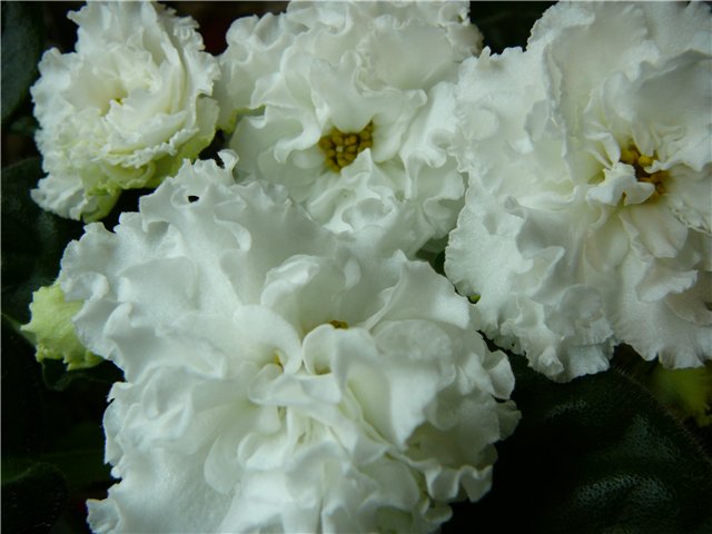ЛЕ-Оригами.jpg