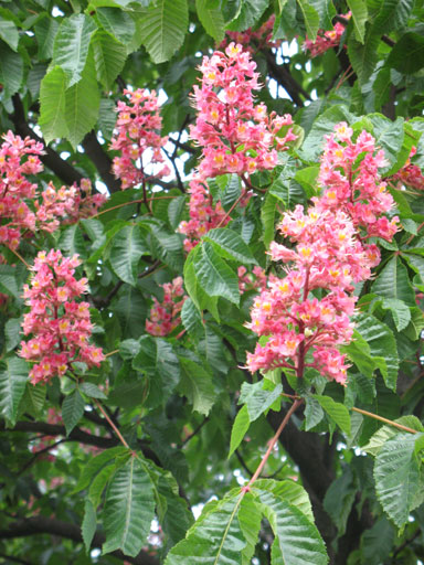 IMG_13872.jpg