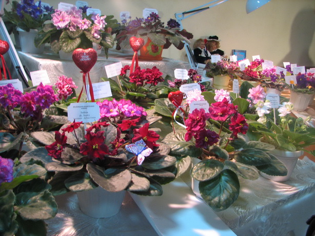 IMG_9616mm.jpg