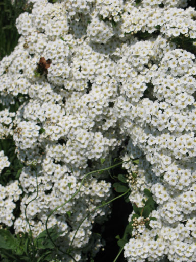 IMG_13732.jpg