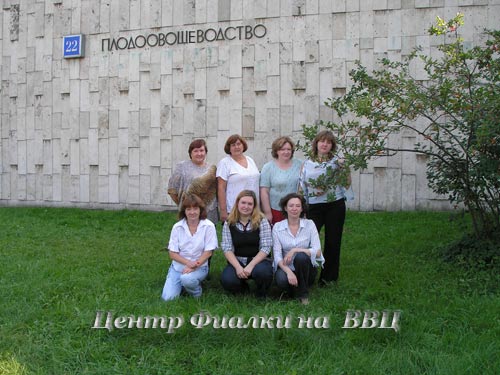 цф.jpg