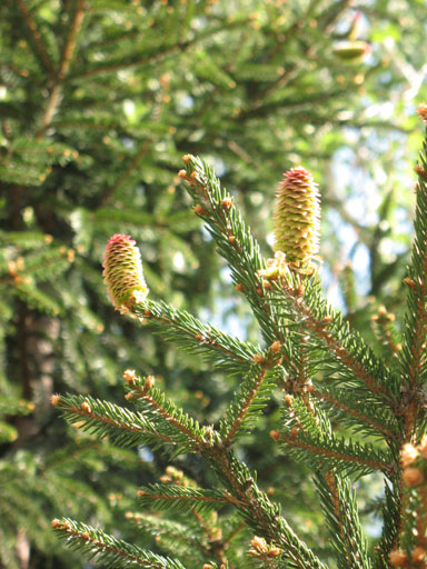 IMG_13792.jpg