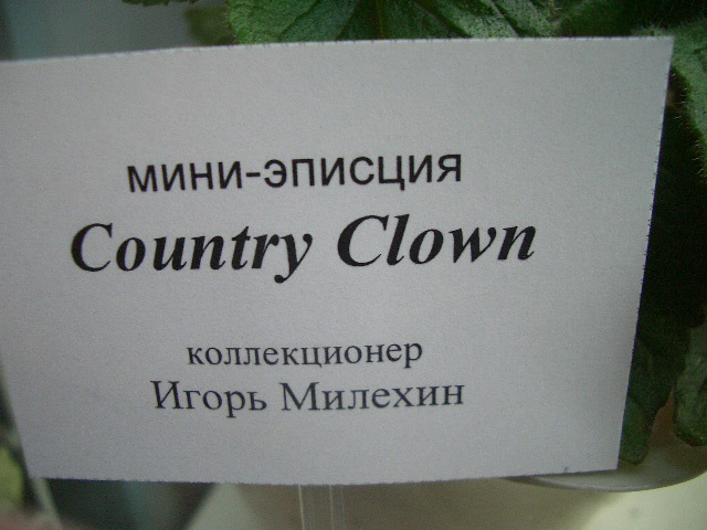 CC.jpg