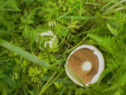 080506_1341231.jpg