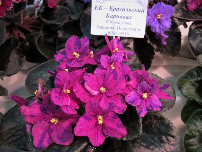 013мм.jpg