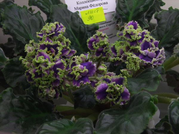 2011_03010024.jpg