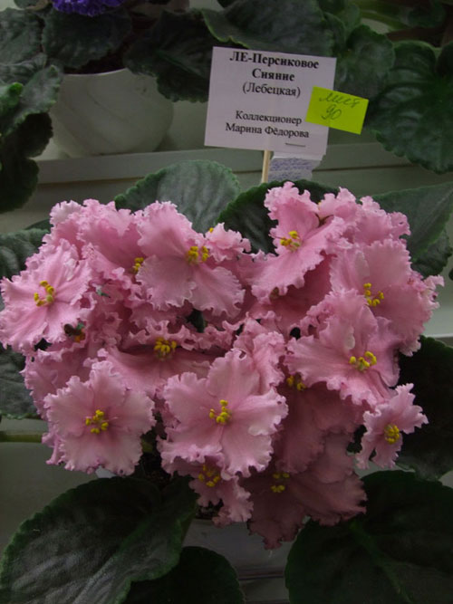 2011_03010043.jpg