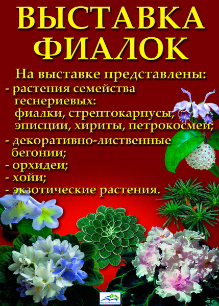 афиша.jpg