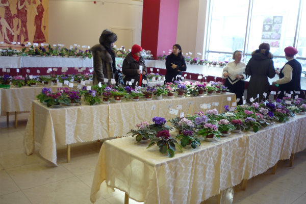 Копия P1090383.JPG