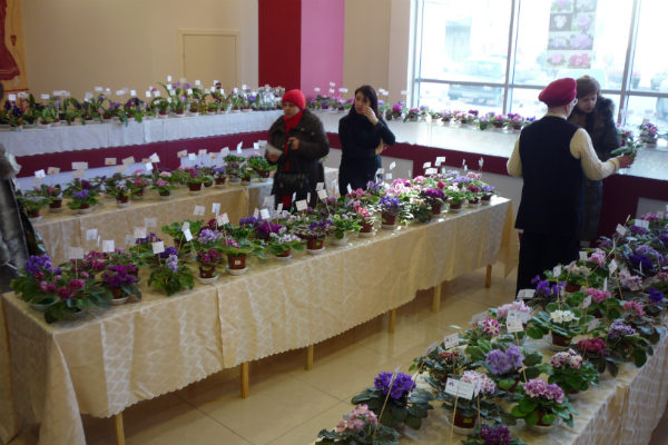 Копия P1090382.JPG
