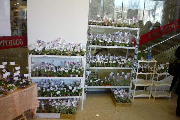 Копия P1090384.JPG