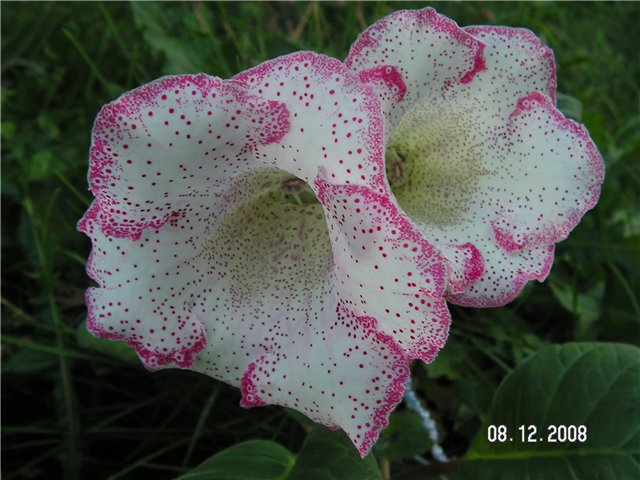 89536fc63974.jpg