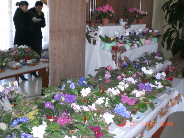 CIMG1233.JPG