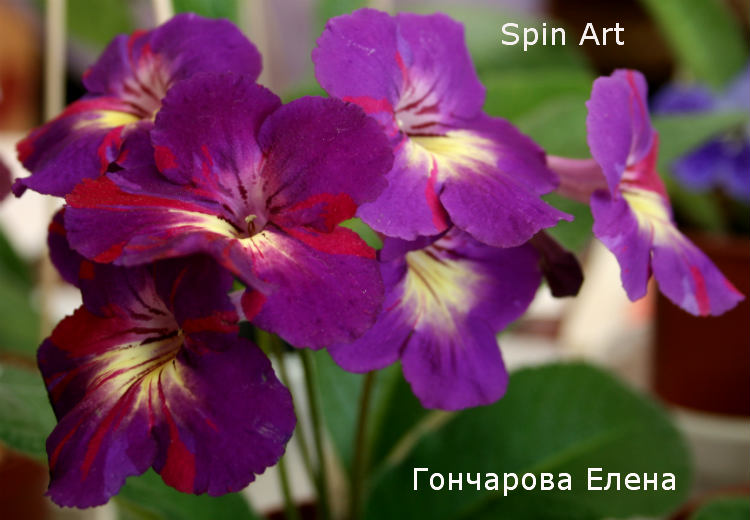 Spin Art.jpg