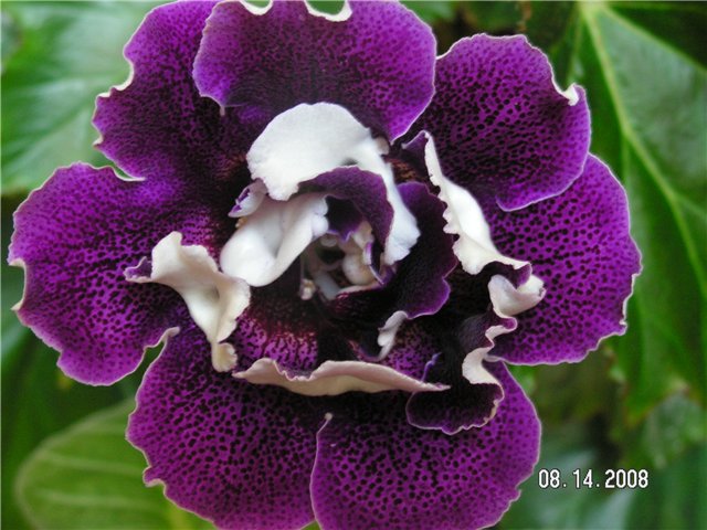 7c09d4e174ac.jpg