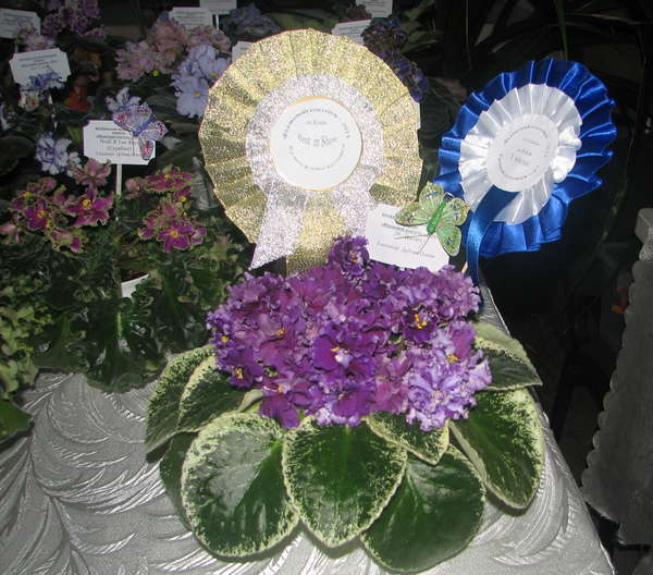130031251262007760.jpg