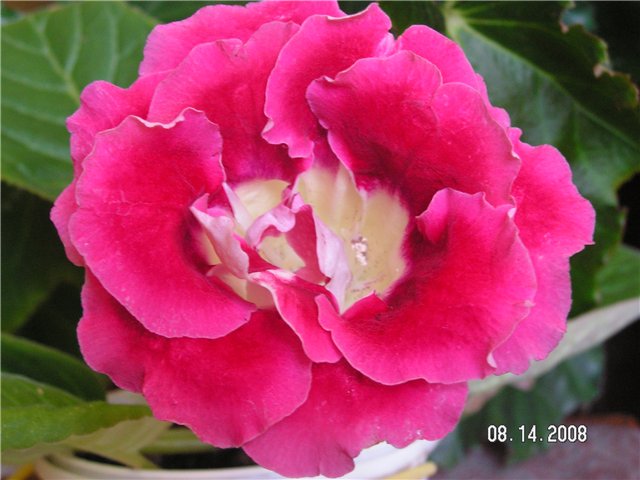 ad92c1369f35.jpg