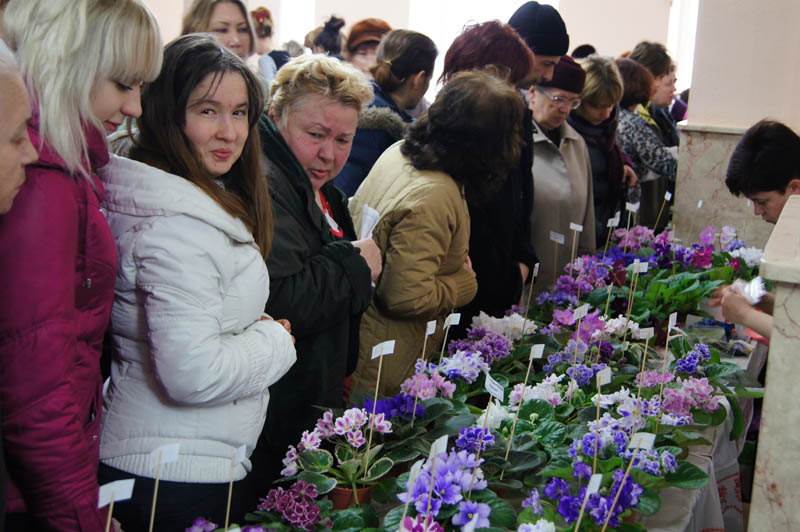 постоянные покупатели.jpg