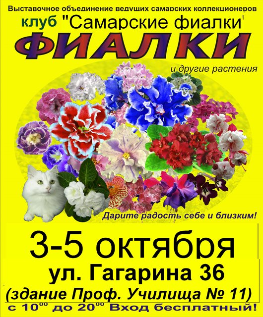 Клуб Самарская Фиалочка_rs .jpg