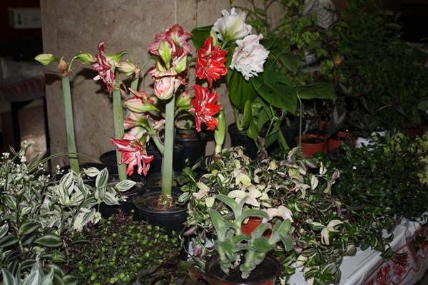 фот фот фот 031.jpg