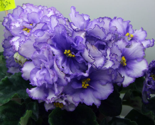 2011_04240021.jpg