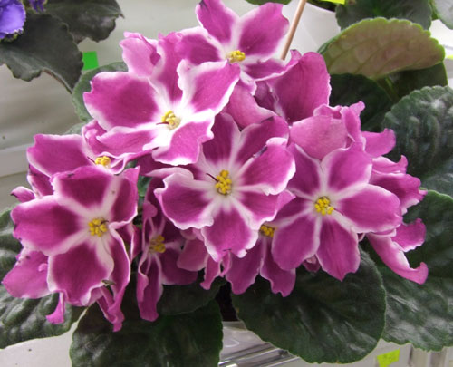 2011_04240017.jpg