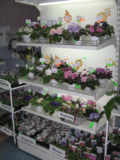 Изображение 039.jpg
