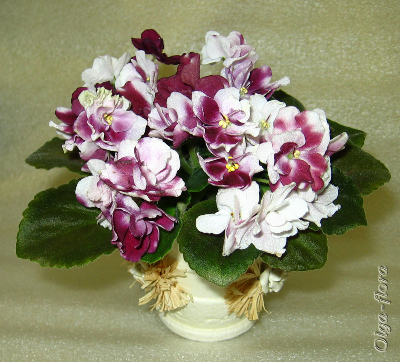 Mac’s Southern Springtime (G. McDonald)