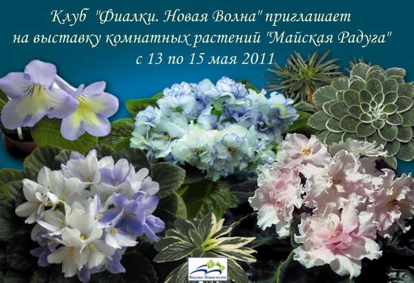 афиша-май.jpg
