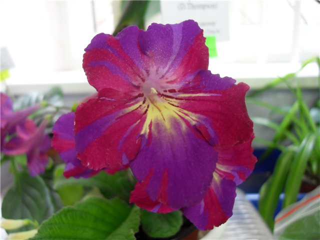 1b81f4490535.jpg
