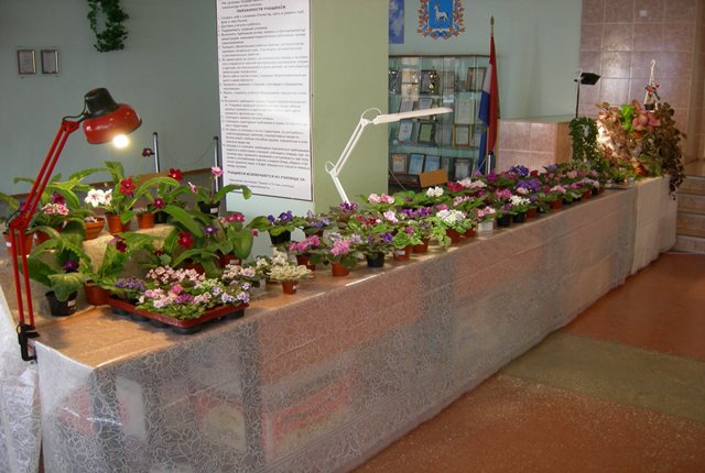 Экспозиция Щербаковой_rs .jpg