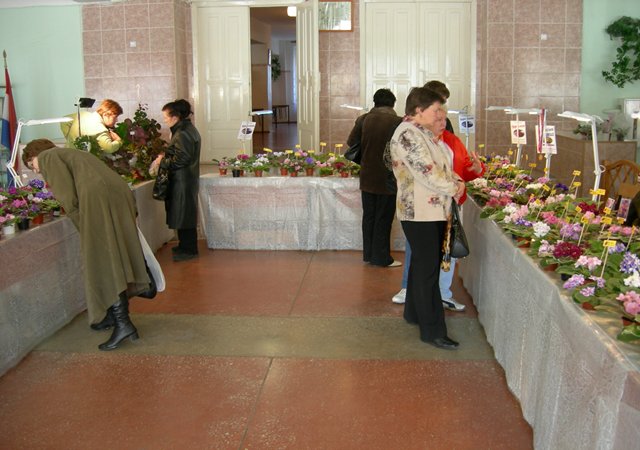 Посетители 2_rs .jpg